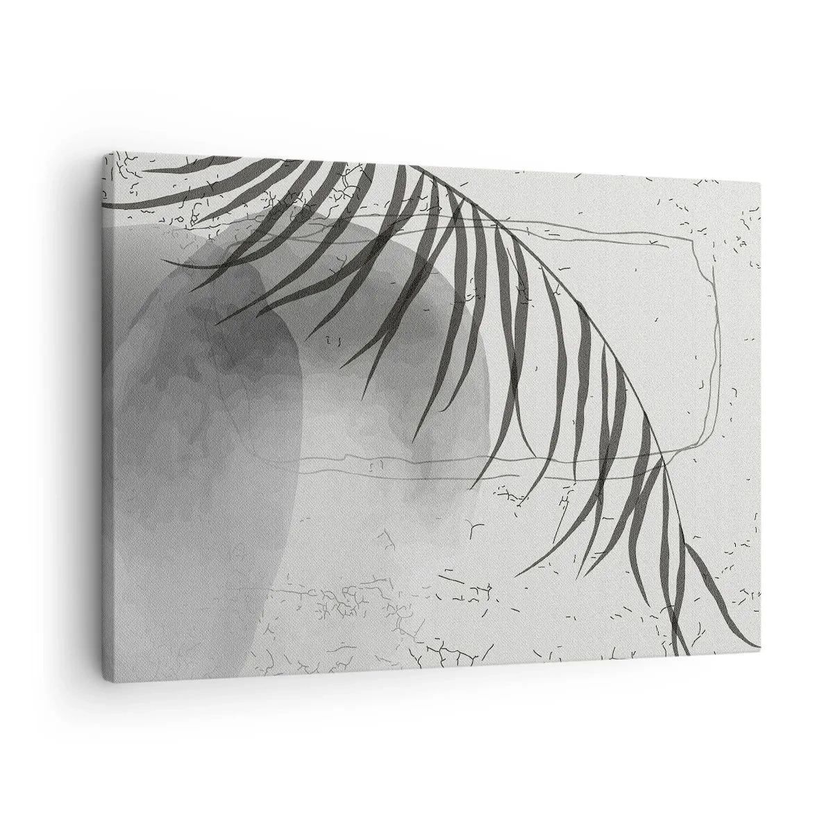 Cuadro sobre lienzo - Impresión de Imagen - Un delicado motivo de hojas de palma sobre un fondo claro en estilo escandinavo. - 70x50cm - El sutil exotismo de la naturaleza - Decoración de pared moderna para salón y dormitorio ARTTOR