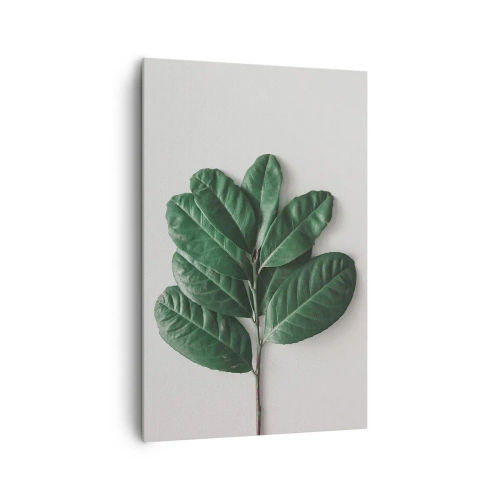Cuadro sobre lienzo - Impresión de Imagen - Una ramita de hojas verdes sobre un fondo claro. - 80x120cm - El dibujo de la propia naturaleza - Decoración de pared moderna para salón y dormitorio ARTTOR