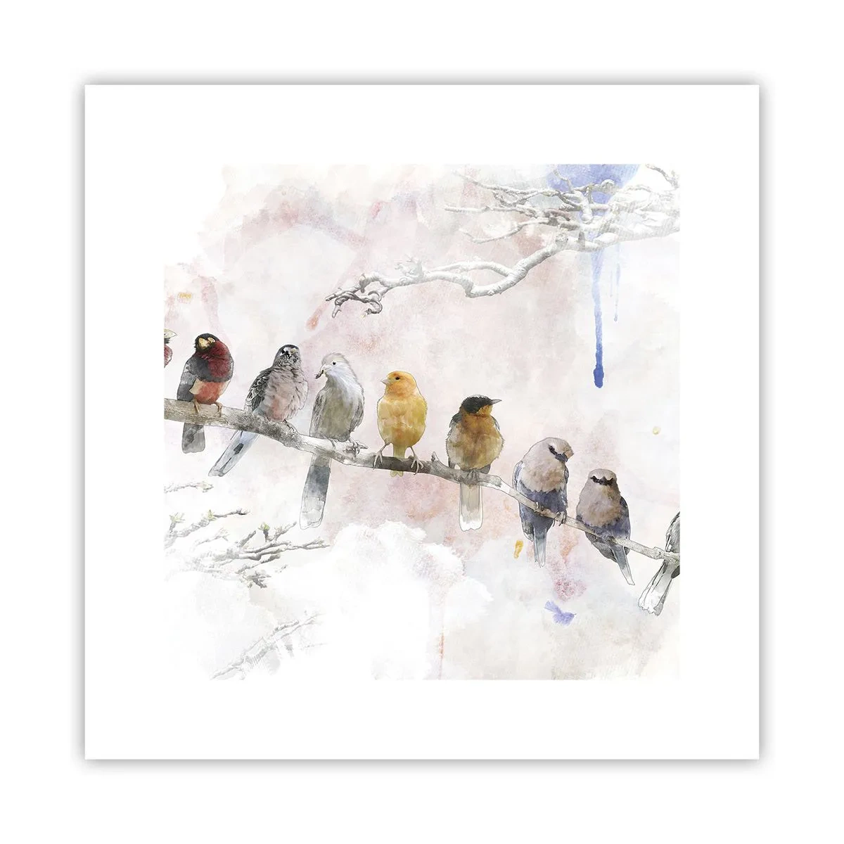 Póster - Reunión alada - 30x30 cm