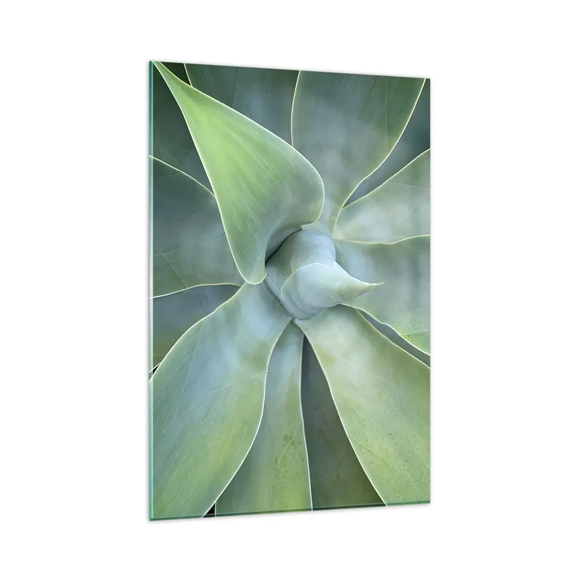 Cuadro sobre vidrio - Impresiones sobre Vidrio - Hojas sutiles de agave en tonos verdes. - 80x120cm - El nacimiento del verde - Decoración de pared moderna para salón y dormitorio ARTTOR
