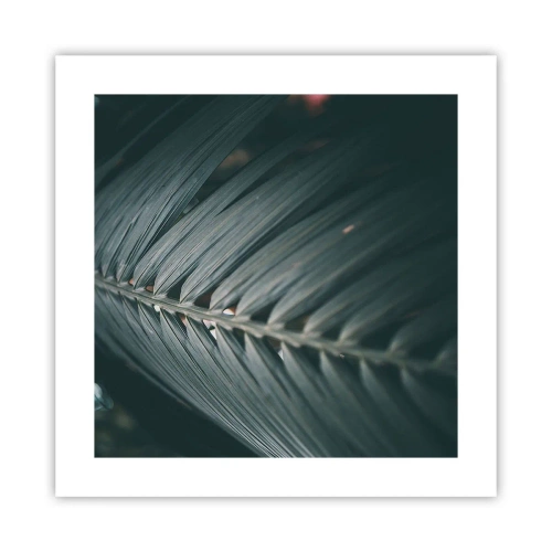 Póster - La precisión de la naturaleza - 40x40 cm