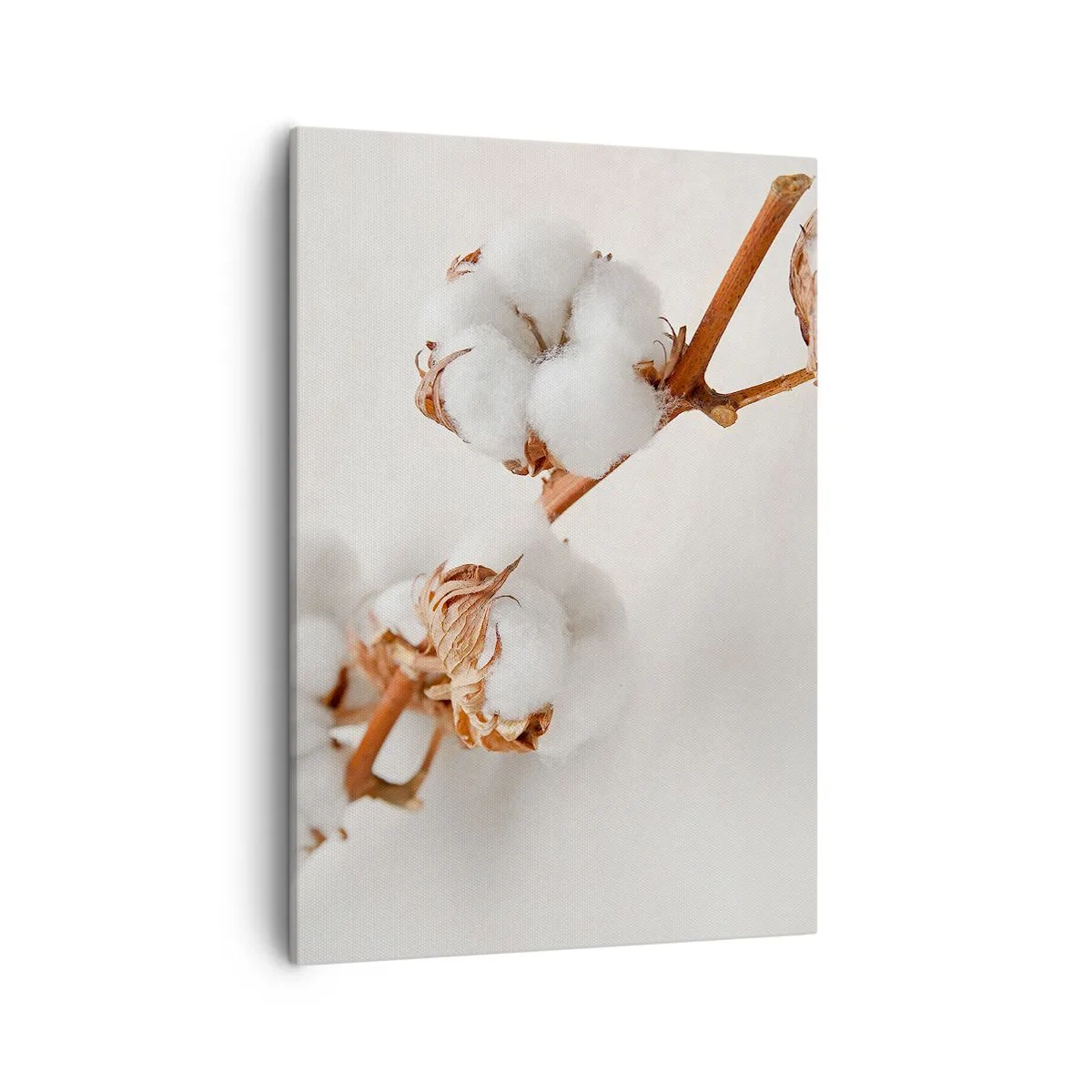 Cuadro sobre lienzo - Impresión de Imagen - Una ramita de algodón sobre un fondo sutil. - 50x70cm - Un suave tacto - Decoración de pared moderna para salón y dormitorio ARTTOR