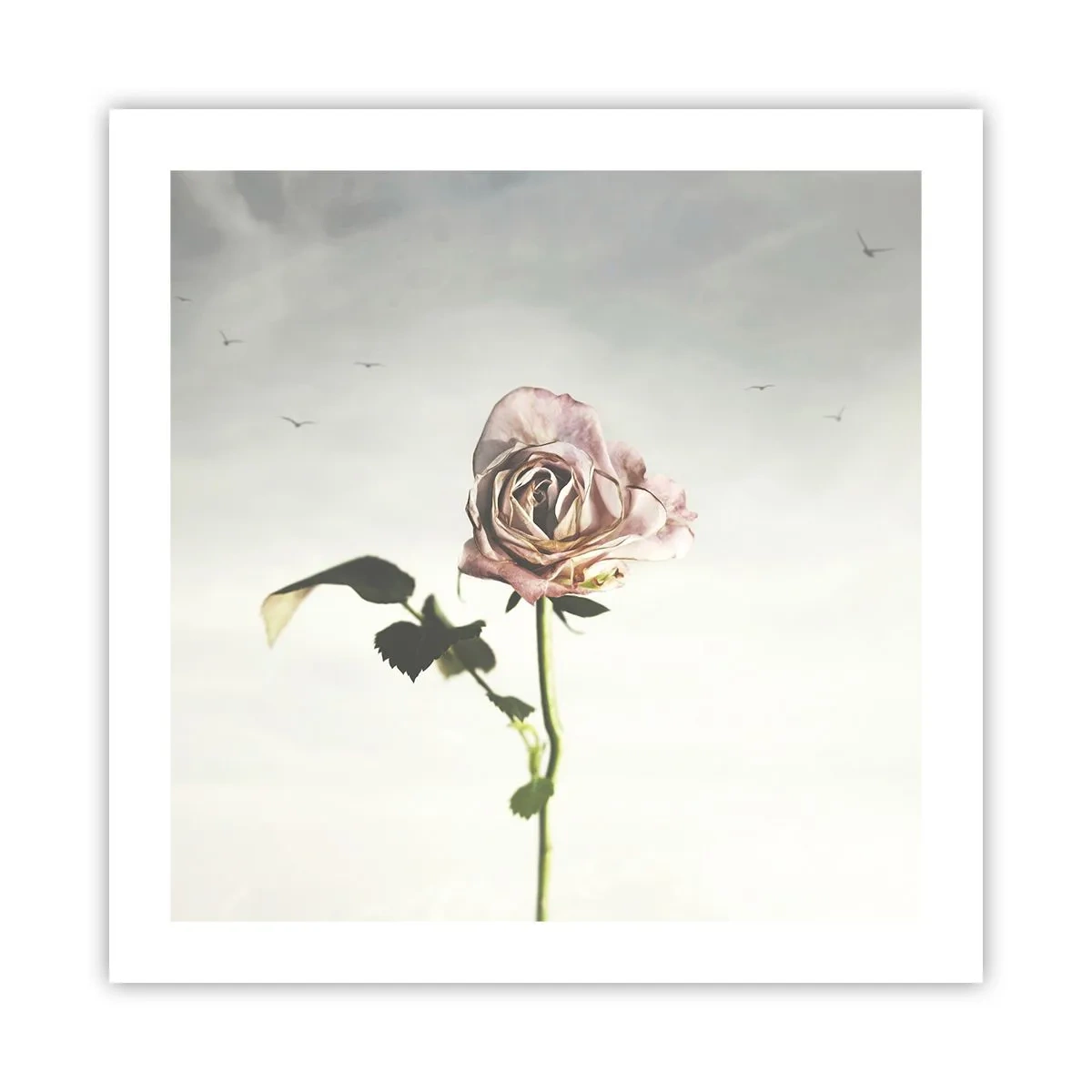 Póster - Bienvenida a la primavera - 50x50 cm