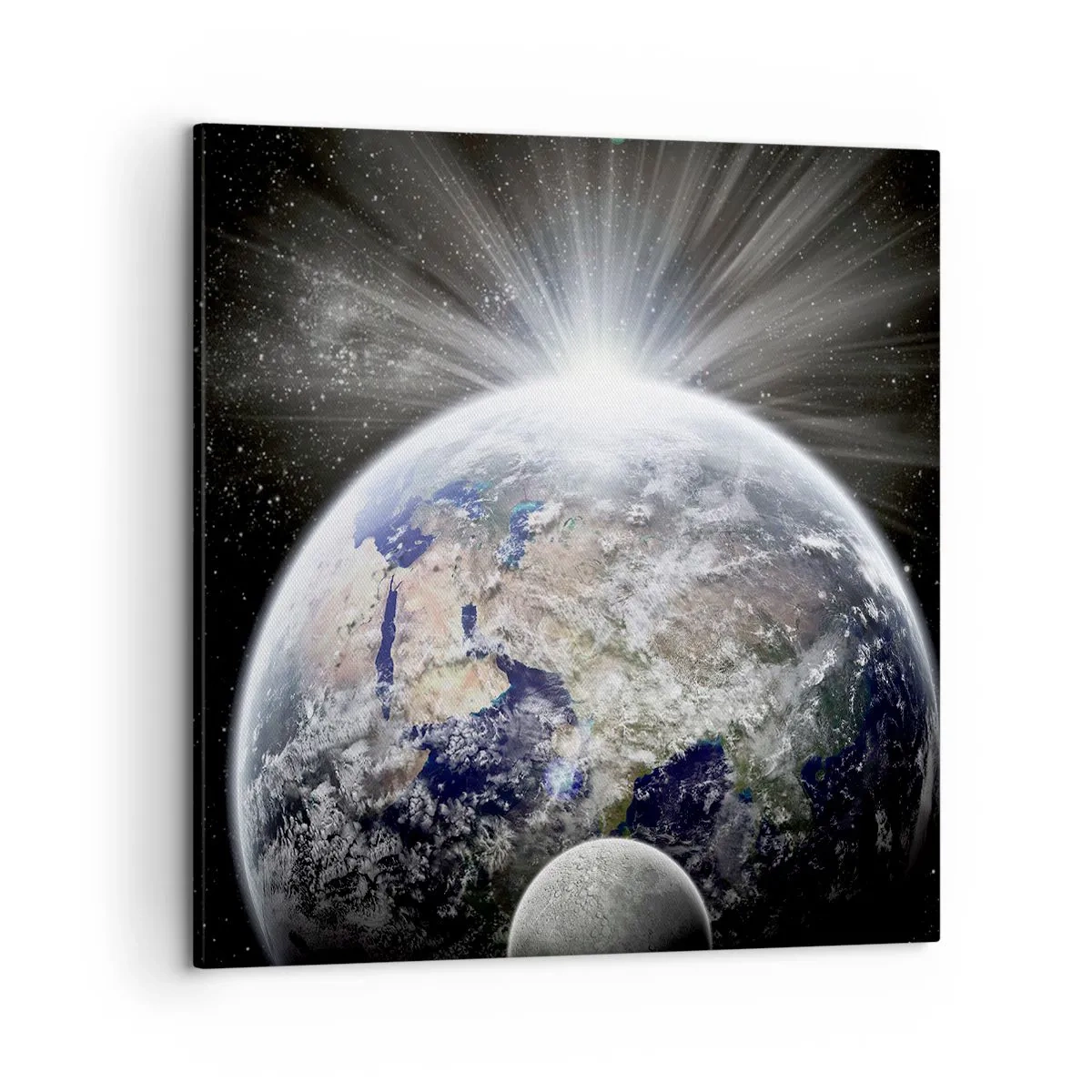 Cuadro sobre lienzo - Impresión de Imagen - En todo su esplendor - 50x50 cm