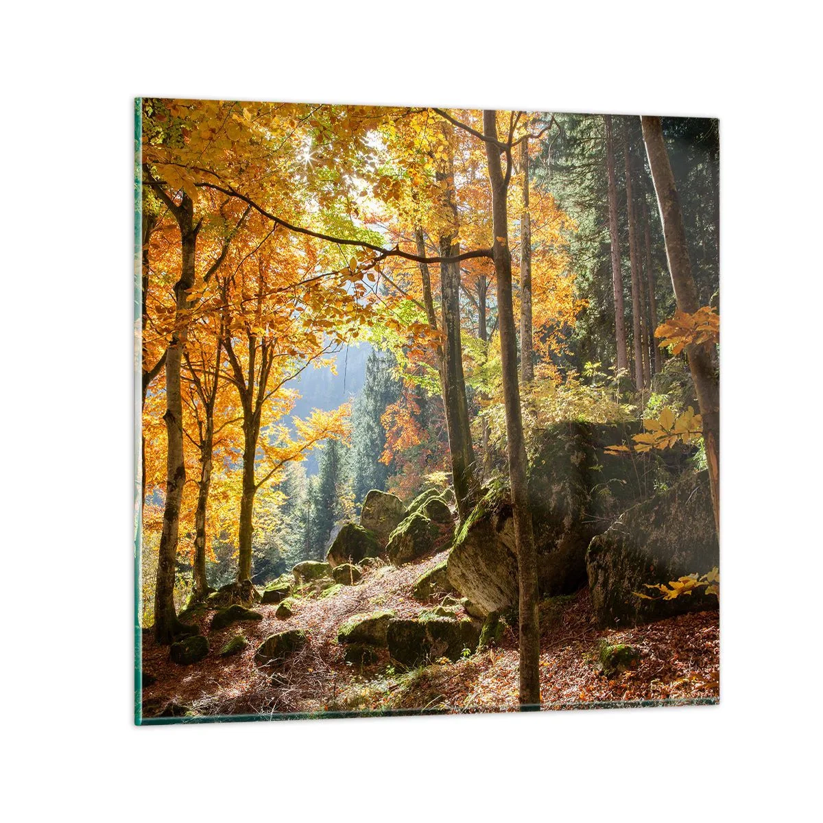 Cuadro sobre vidrio - Impresiones sobre Vidrio - Tiempo de descanso - 60x60 cm