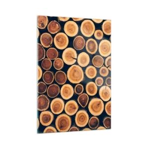 Cuadro sobre vidrio - Impresiones sobre Vidrio - Vista de troncos de árboles cortados dispuestos en fila - 50x70cm - ¿Qué edad tengo? - Decoración de pared moderna para salón y dormitorio ARTTOR