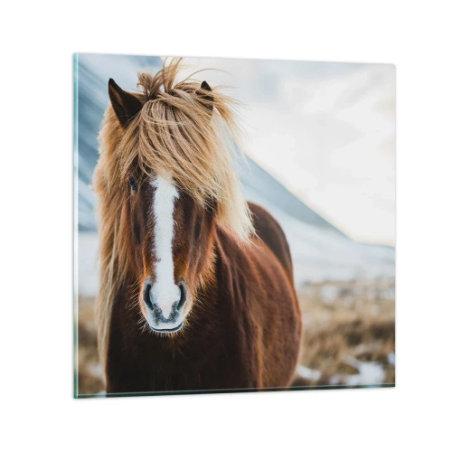 Cuadro sobre vidrio - Impresiones sobre Vidrio - ¿Puedes sentir la libertad? - 30x30 cm