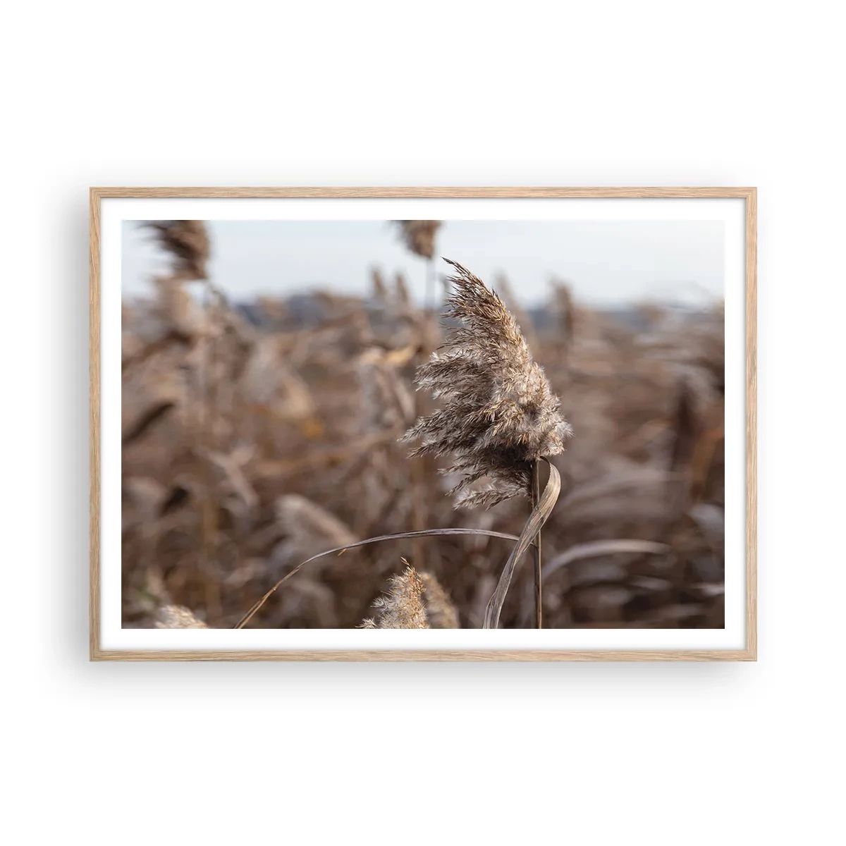 Póster en marco roble claro - Es hora de volar con el viento - 100x70 cm