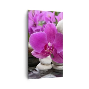 Cuadro sobre lienzo - Impresión de Imagen - Ya estás descansando - 45x80 cm