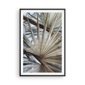 Póster en marco negro - Abanicos en el trópico - 61x91 cm