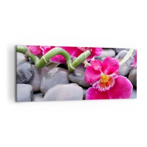 Cuadro sobre lienzo - Impresión de Imagen - Orquídeas rosas sobre un fondo de piedras lisas. - 120x50cm - Frío y calor - Decoración de pared moderna para salón y dormitorio ARTTOR