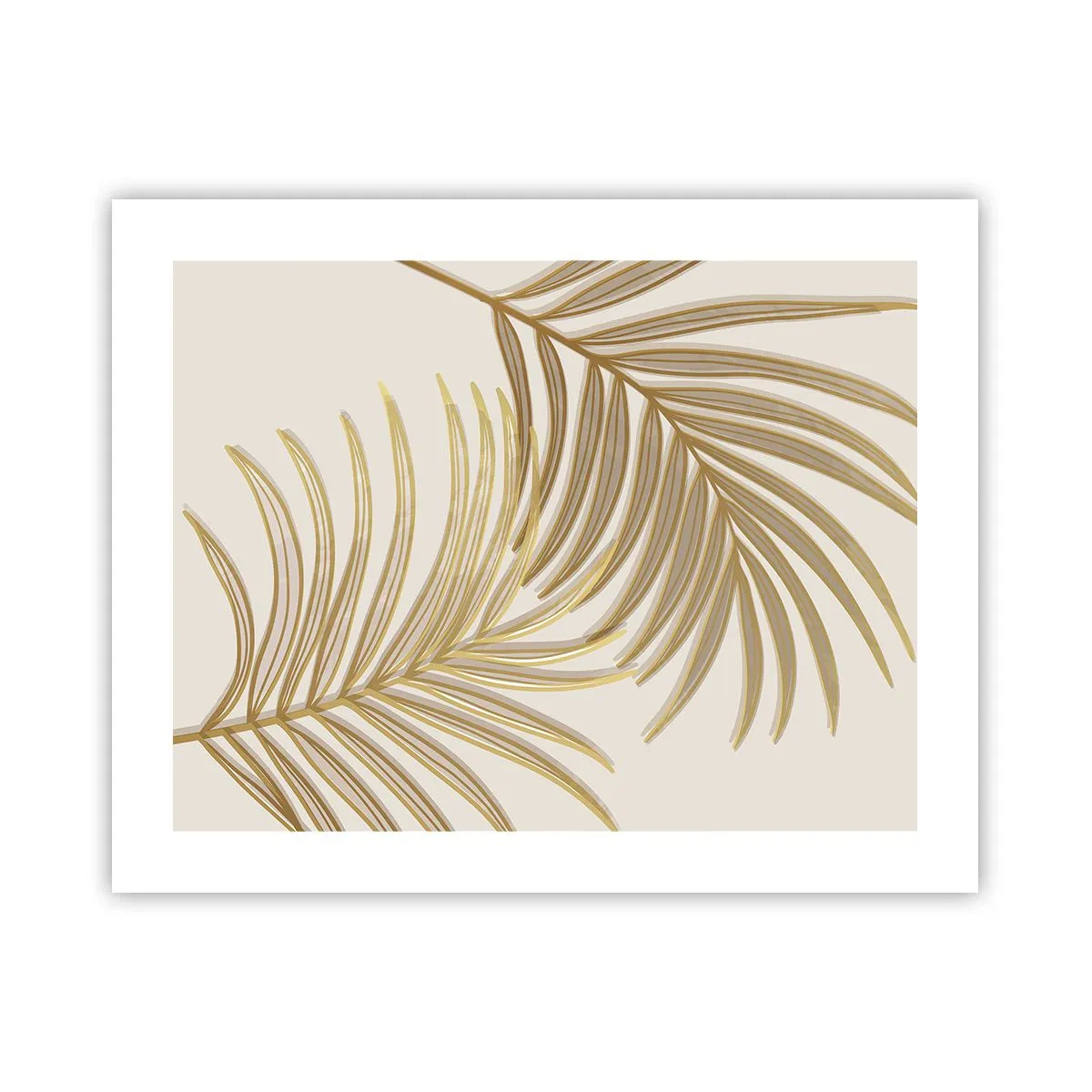 Póster - Palma de Oro - 50x40 cm