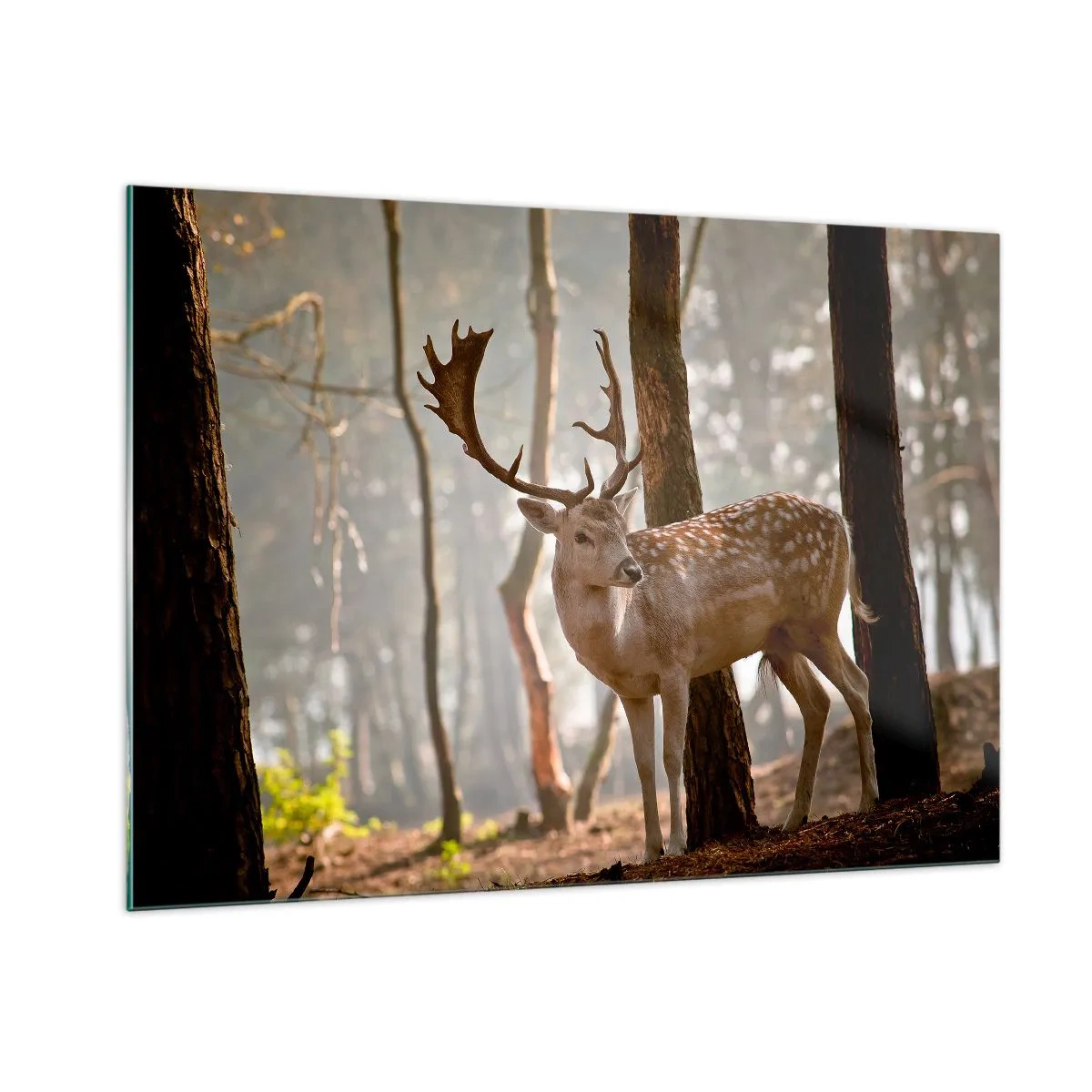 Cuadro sobre vidrio - Impresiones sobre Vidrio - Un ciervo en el bosque rodeado de niebla matutina. - 100x70cm - La luz de la juventud - Decoración de pared moderna para salón y dormitorio ARTTOR