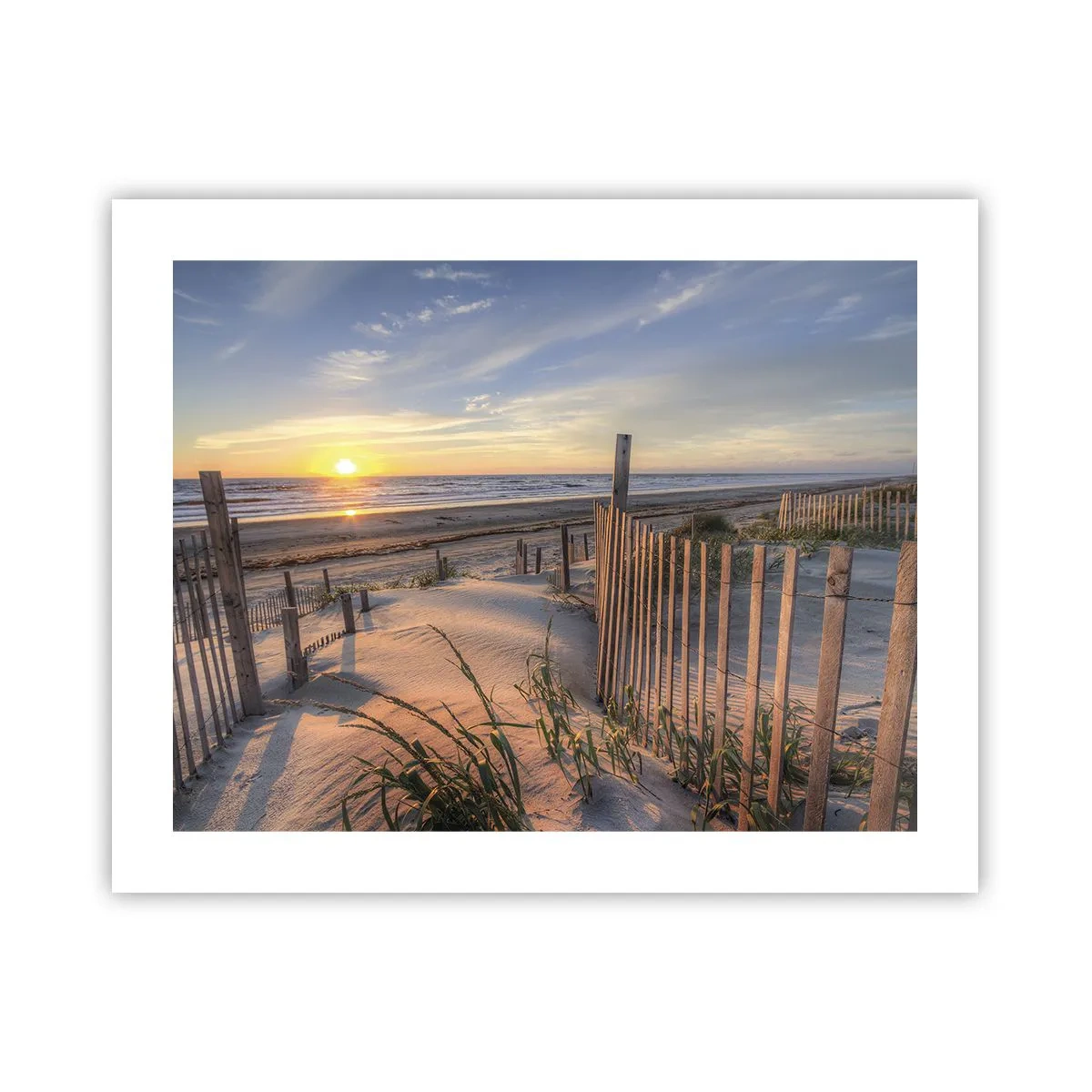 Póster - El resplandor y la sombra del viento - 50x40 cm