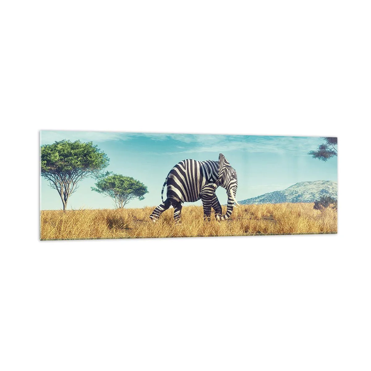 Cuadro sobre vidrio - Impresiones sobre Vidrio - Cebra en un paisaje africano - 160x50cm - El gris ya no está de moda - Decoración de pared moderna para salón y dormitorio ARTTOR