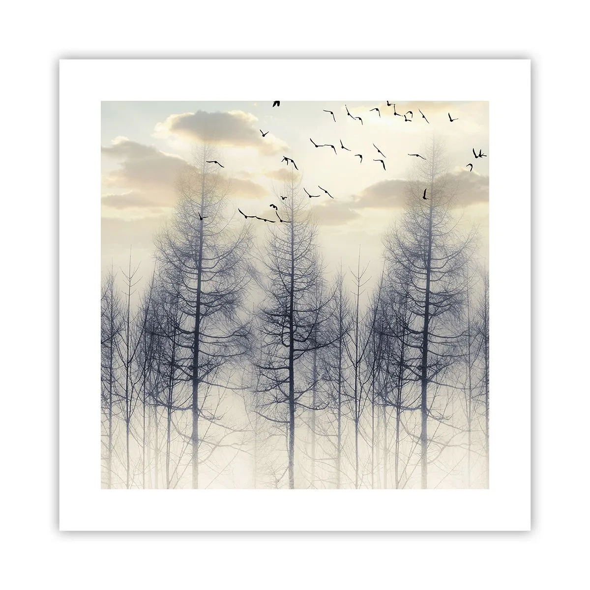 Póster - Espíritus del bosque - 40x40 cm