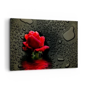 Cuadro sobre lienzo - Impresión de Imagen - Rosa roja con gotas de agua sobre un fondo oscuro - 120x80cm - Rojo y negro - Decoración de pared moderna para salón y dormitorio ARTTOR