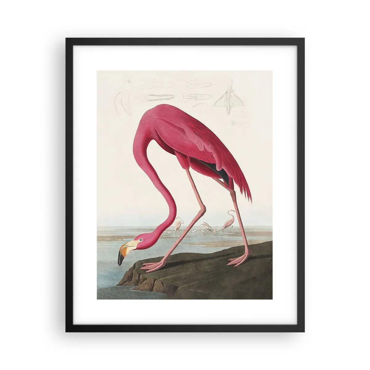 Póster en marco negro - Creación asombrosa - 40x50 cm