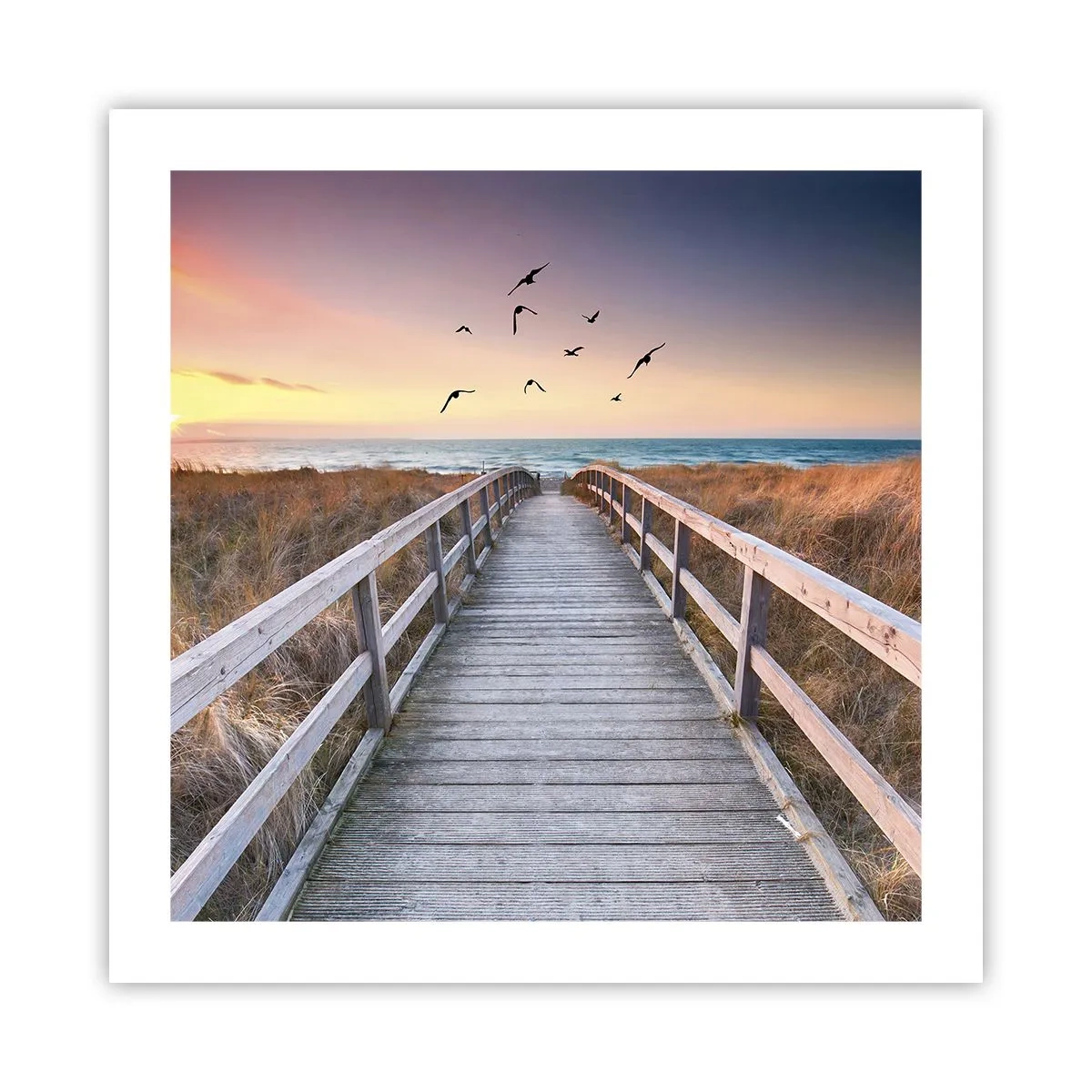 Póster - Camino a lo desconocido - 50x50 cm