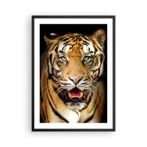 Póster en marco negro - Retrato de un tigre sobre fondo negro - 50x70cm - Salvaje de corazón - Decoración de pared moderna para salón y dormitorio ARTTOR