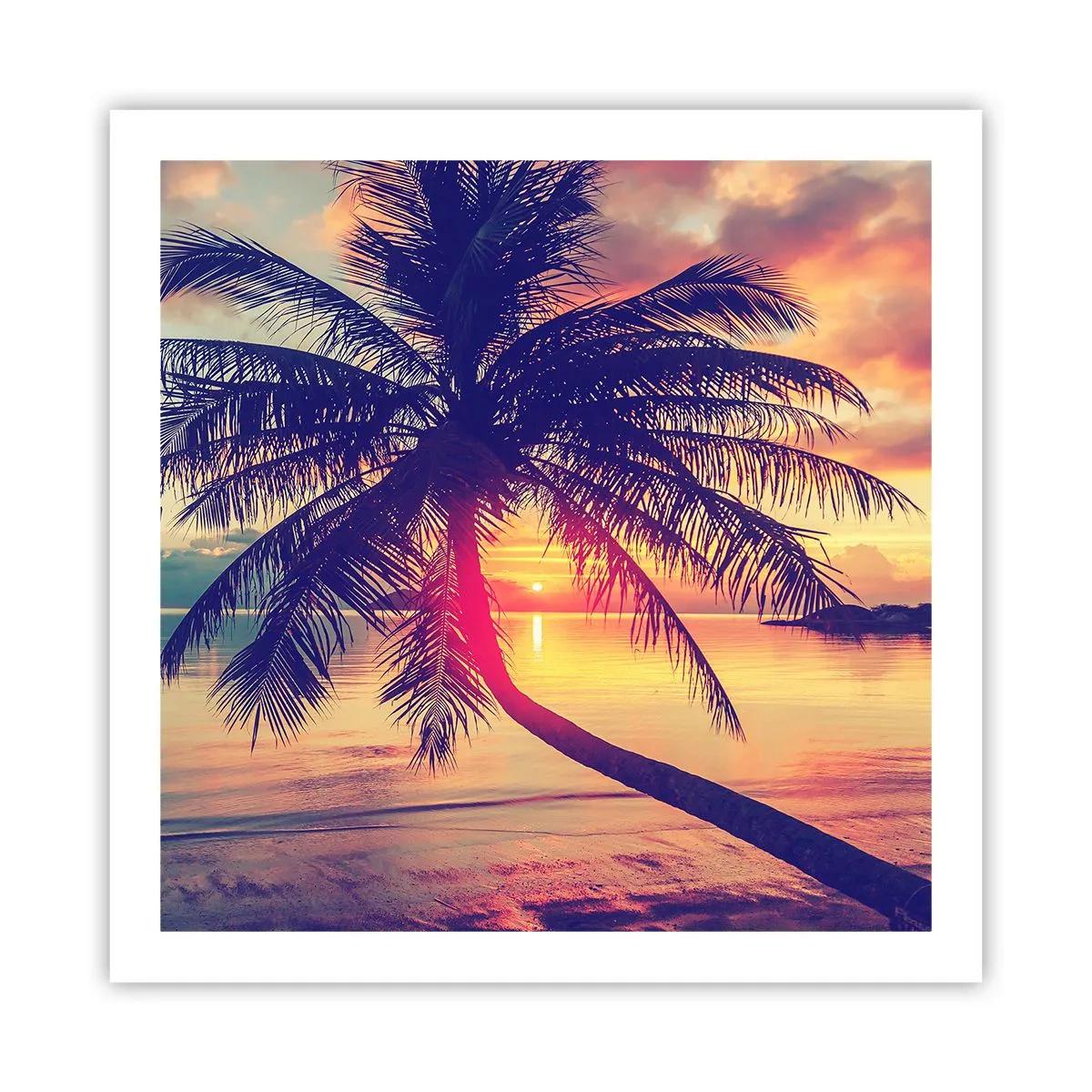 Póster - Atardecer bajo las palmeras - 60x60 cm