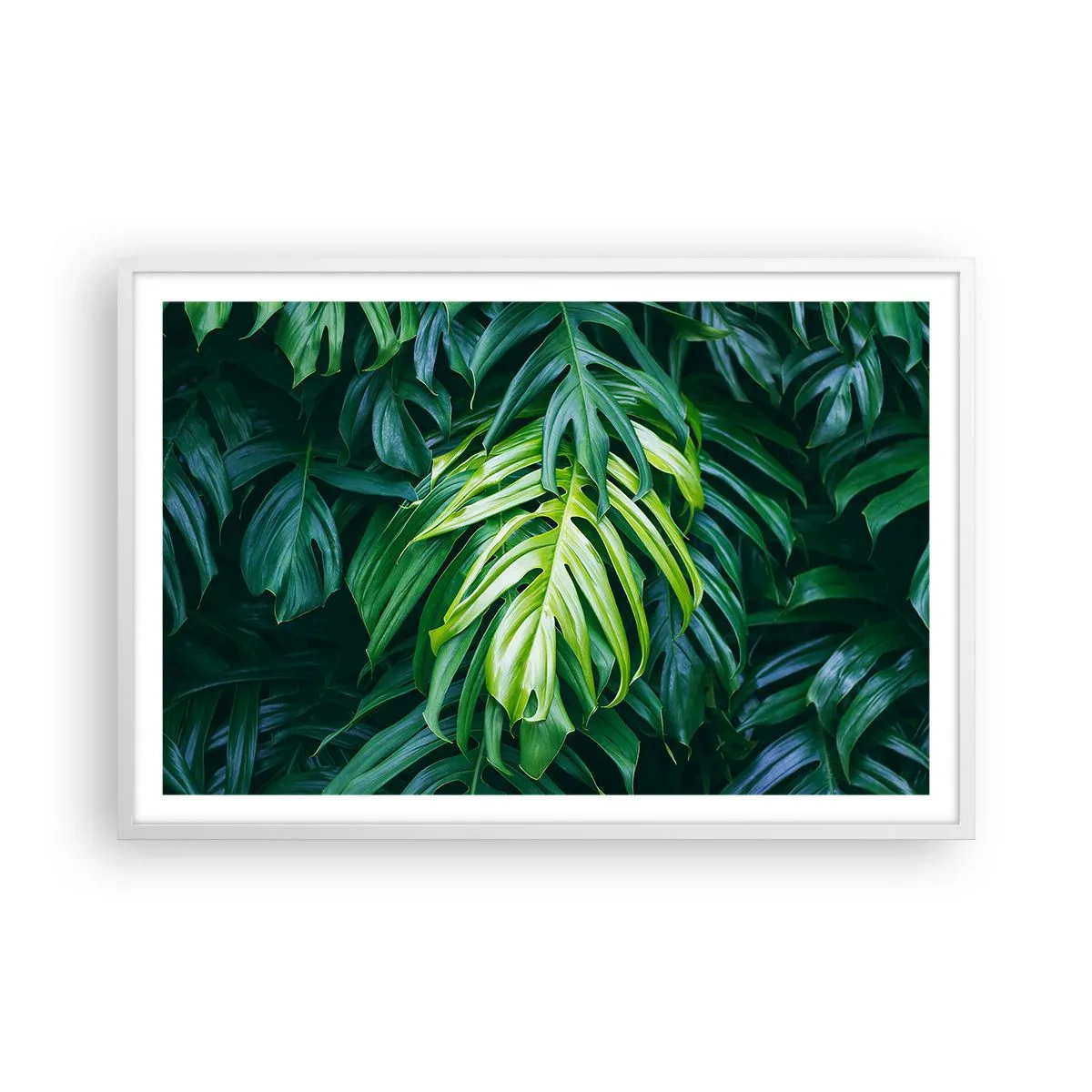 Póster en marco blanco - Sumérjase en la frescura - 91x61 cm