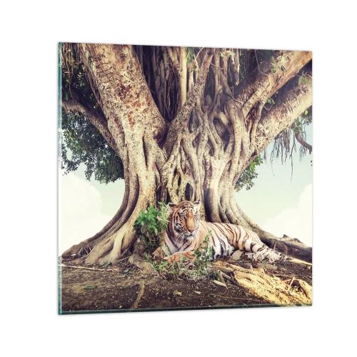 Cuadro sobre vidrio - Impresiones sobre Vidrio - Una visión desde el Génesis - 70x70 cm