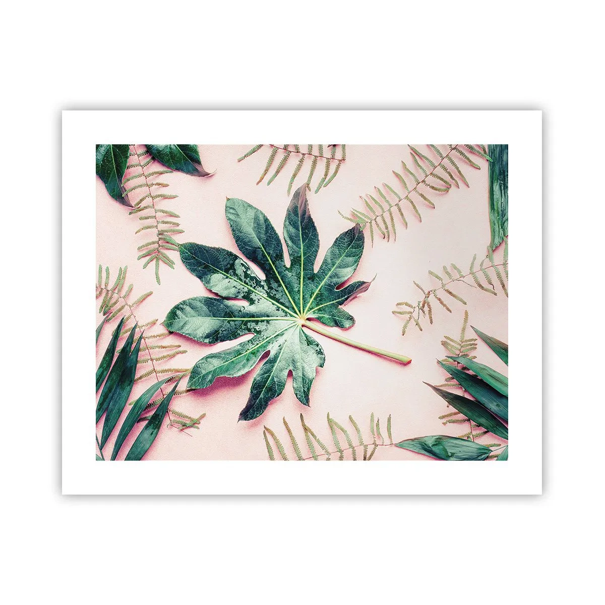 Póster - Estudio de vegetación sobre fondo rosa - 50x40 cm