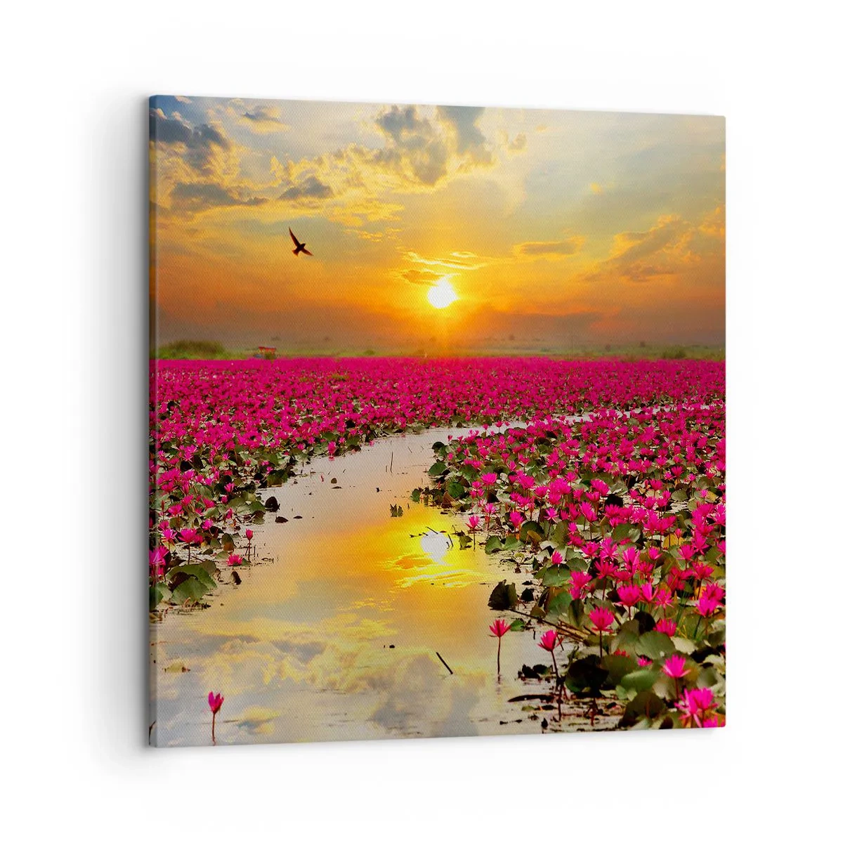 Cuadro sobre lienzo - Impresión de Imagen - La vida secreta del lago - 50x50 cm