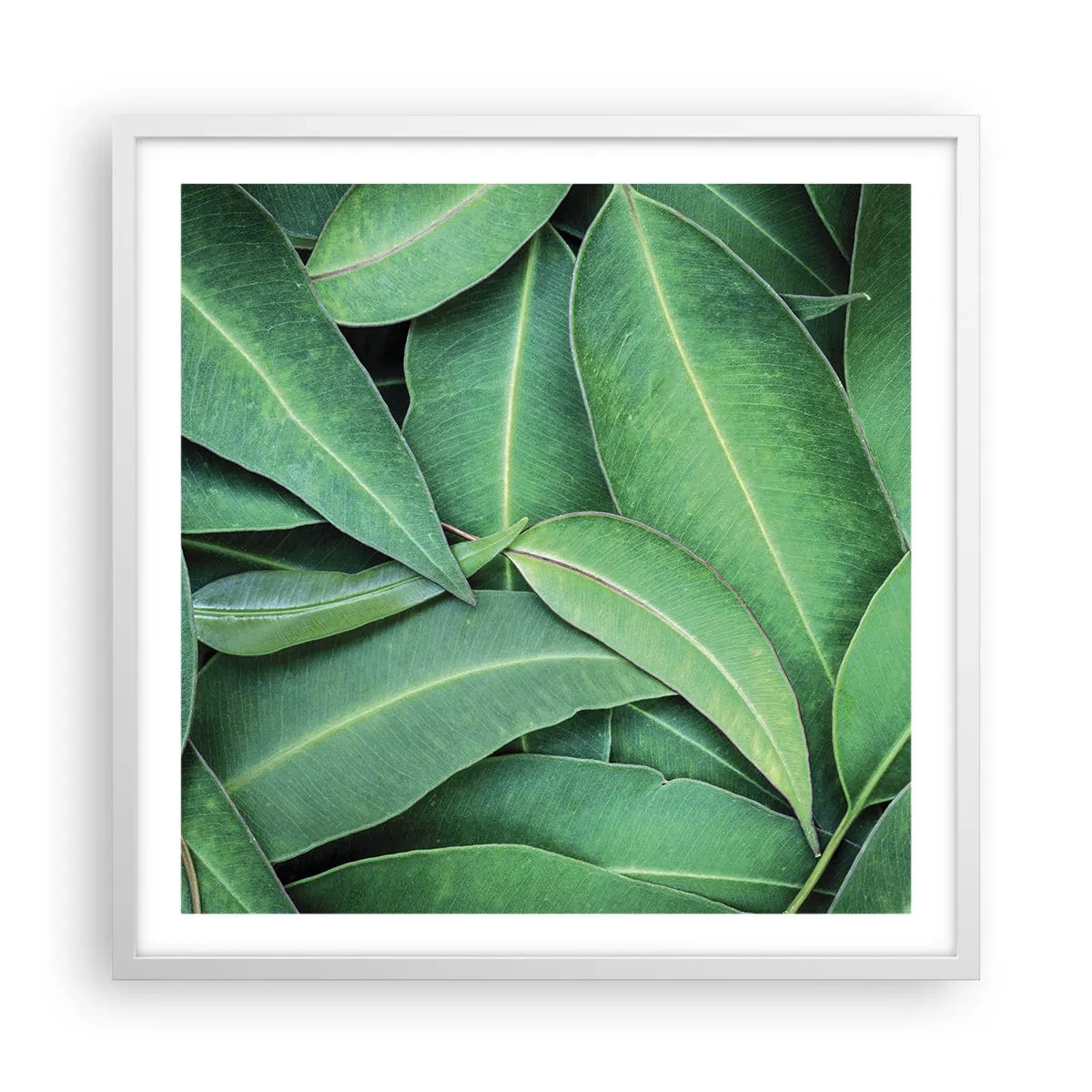 Póster en marco blanco - Jugosidad y frescura - 60x60 cm