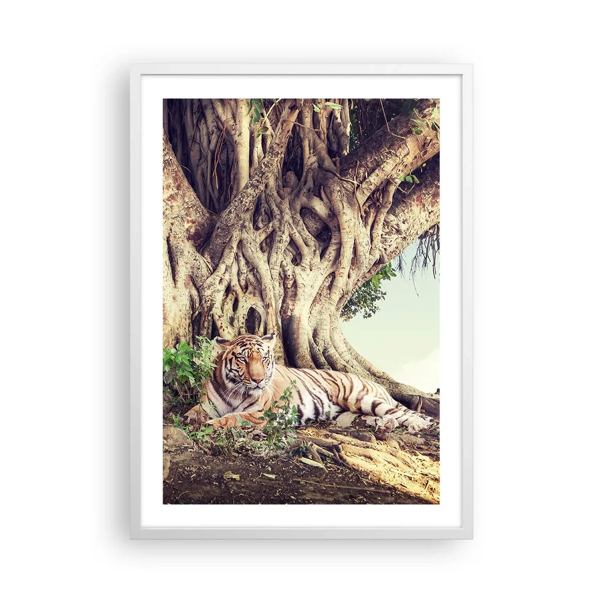 Póster en marco blanco - Una visión desde el Génesis - 50x70 cm