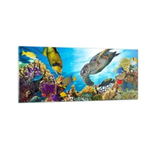 Cuadro sobre vidrio - Impresiones sobre Vidrio - Paseo del coral - 100x40 cm