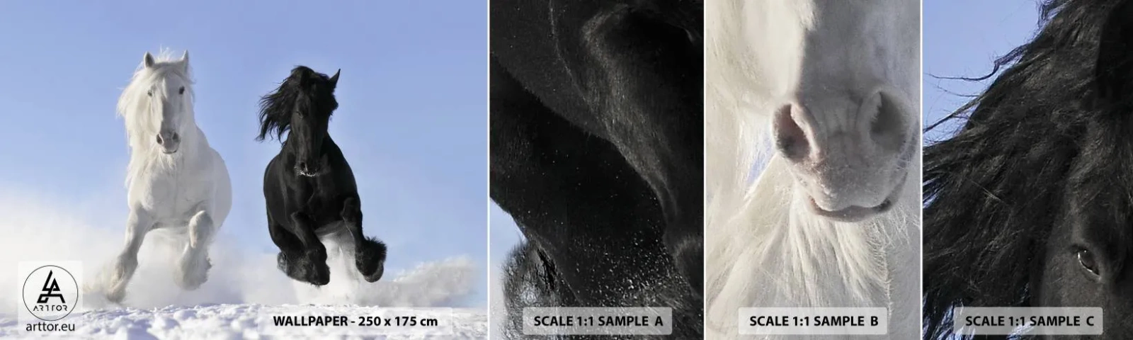 Muestra De Fotomural Standard Eco - Galope blanco y negro - animales, Caballo, Invierno - 100x30 cm
