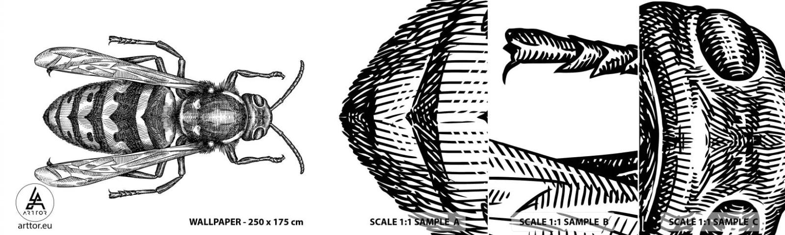 Muestra De Fotomural Standard Eco - Desde un planeta de insectos - Avispa, Insecto, minimalista - 100x30 cm