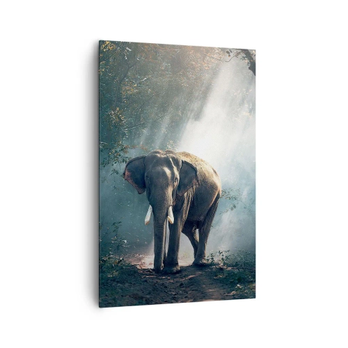 Cuadro sobre lienzo - Impresión de Imagen - Elefante en la luz del bosque - 80x120cm - Un paseo tranquilo - Decoración de pared moderna para salón y dormitorio ARTTOR