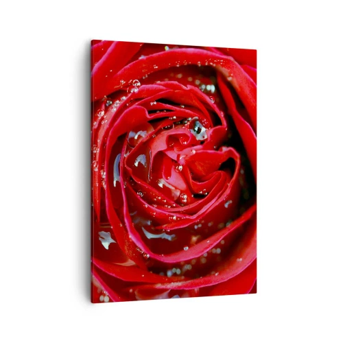 Cuadro sobre lienzo - Impresión de Imagen - Primer plano de una rosa roja con gotas de agua en los pétalos. - 50x70cm - En gotas de rocío - Decoración de pared moderna para salón y dormitorio ARTTOR
