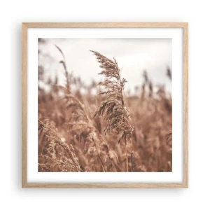 Póster en marco roble claro - El otoño ya está en los campos - 50x50 cm