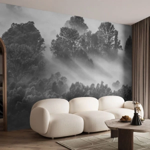 Fotomural Standard Eco - Un bosque blanco y negro envuelto en niebla con rayos de luz. - 100x70cm - Levantarse del sueño - Decoración de pared moderna para salón y dormitorio ARTTOR
