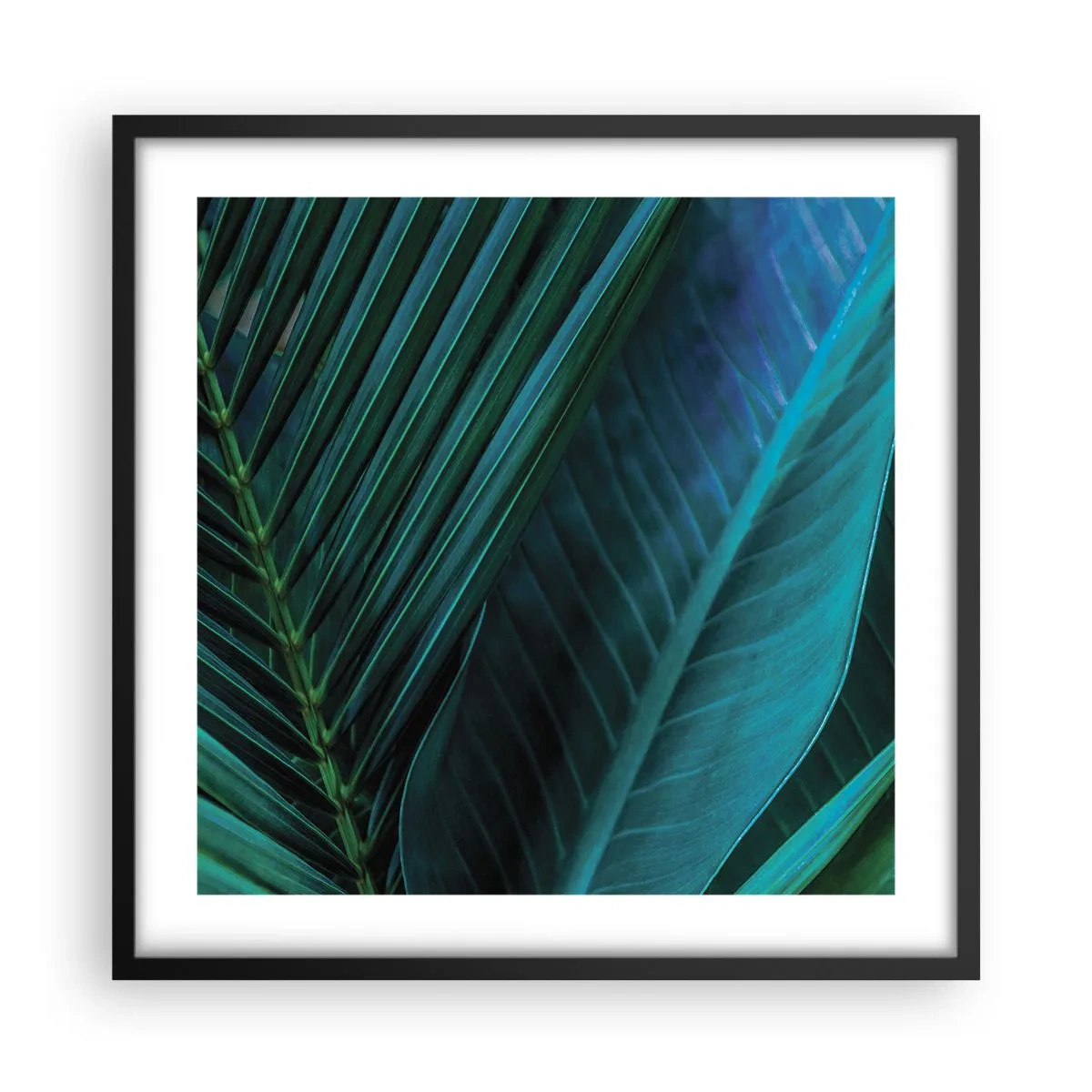 Póster en marco negro - Anatomía del verde - 50x50 cm