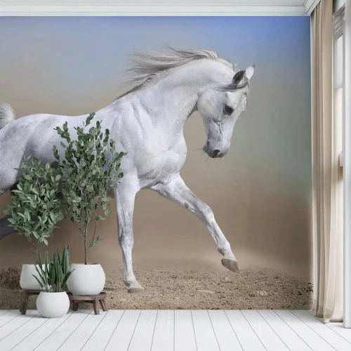 Fotomural Premium Canvas - El más bello cuento de hadas árabe - Caballo, animales, Galope - 500x350 cm