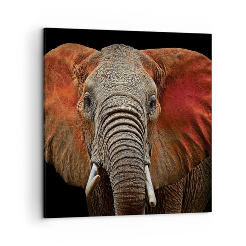 Cuadro sobre lienzo - Impresión de Imagen - Soy salvaje, ¿y tú? - 50x50 cm