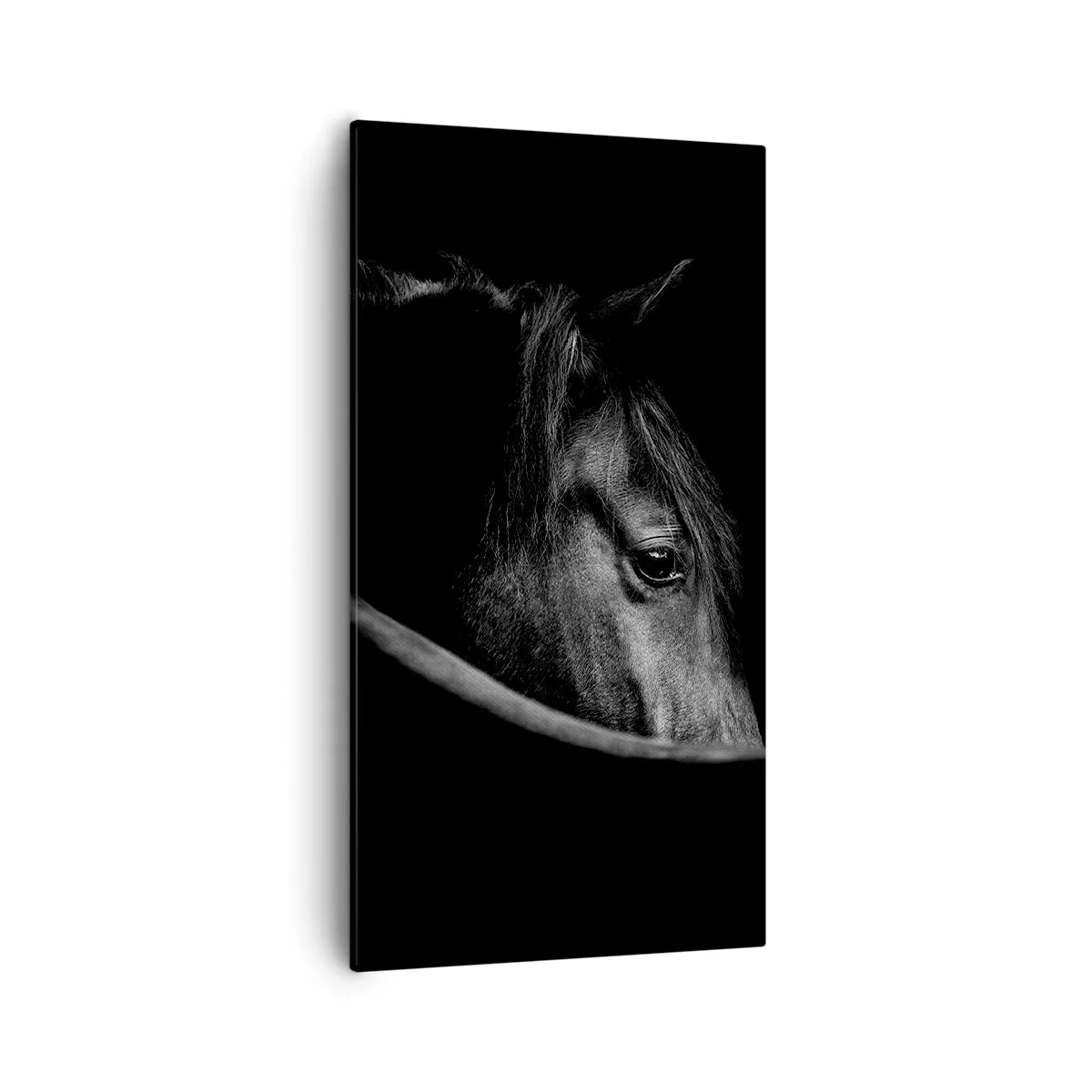 Cuadro sobre lienzo - Impresión de Imagen - Príncipe negro - 55x100 cm