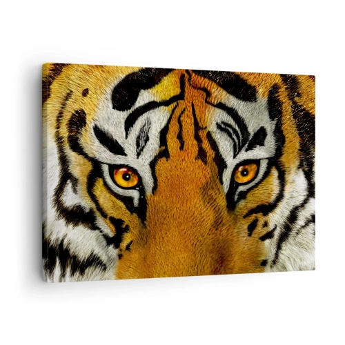 Cuadro sobre lienzo - Impresión de Imagen - Retrato en primer plano de un tigre con una mirada intensa. - 70x50cm - Amenazante y hermoso - Decoración de pared moderna para salón y dormitorio ARTTOR
