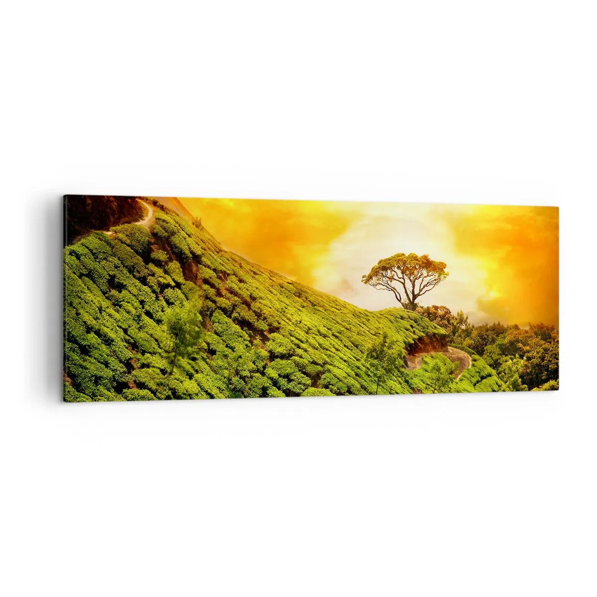 Cuadro sobre lienzo - Impresión de Imagen - Colinas verdes de plantaciones de té al atardecer - 140x50cm - Por un camino sinuoso, por una verde pendiente - Decoración de pared moderna para salón y dormitorio ARTTOR