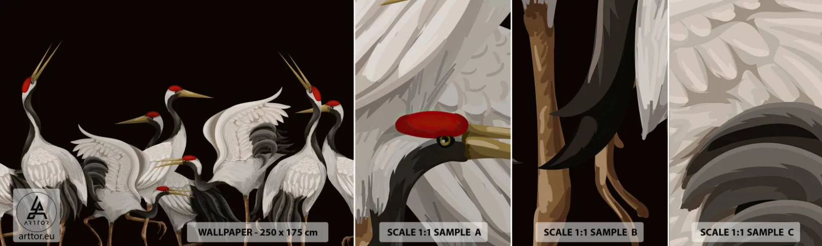 Muestra De Fotomural Standard Eco - Asuntos de aves - Grúas, Aves, Pedazo - 100x30 cm