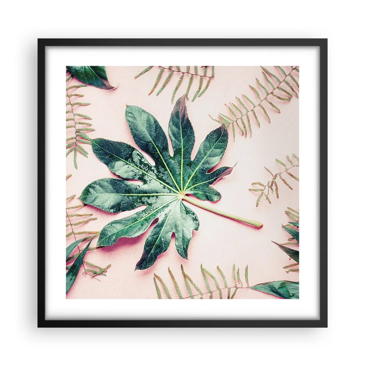 Póster en marco negro - Estudio de vegetación sobre fondo rosa - 50x50 cm
