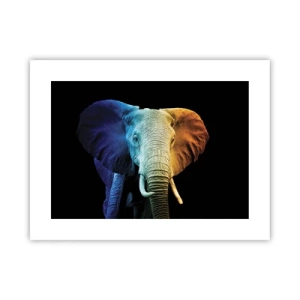 Póster - Excéntrico, no un bicho raro - 40x30 cm