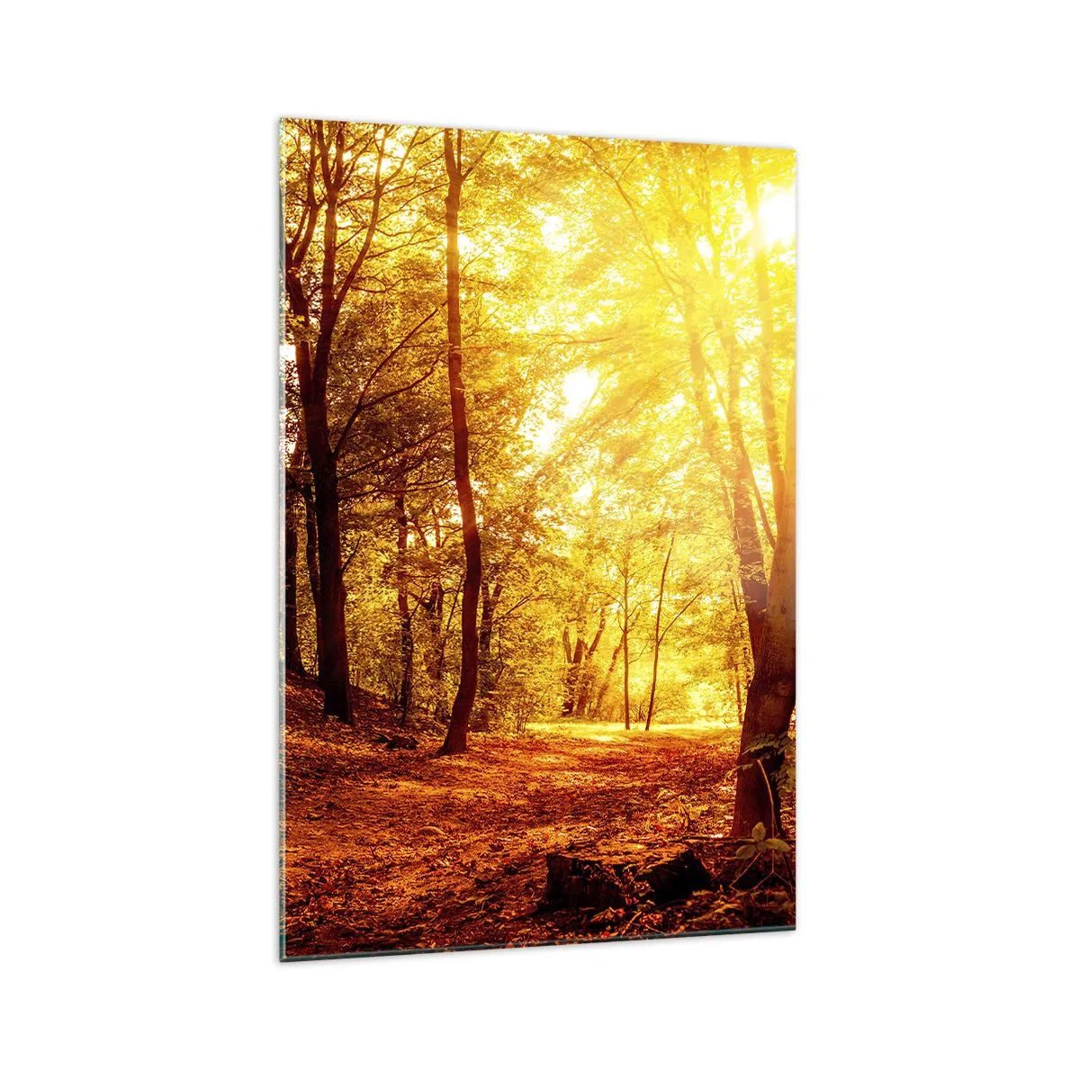 Cuadro sobre vidrio - Impresiones sobre Vidrio - Claro de otoño bajo la luz dorada del sol con un sendero forestal - 70x100cm - Hacia un claro de oro - Decoración de pared moderna para salón y dormitorio ARTTOR