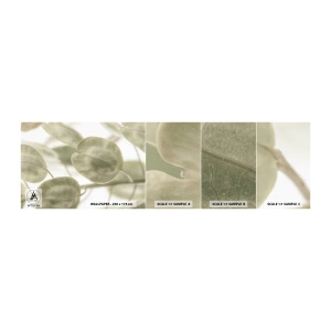 Muestra de fotomural autoadhesivo Deluxe Sticker - Al principio de los tiempos había hojas... - flores, Calma, Hojas - 100x30 cm