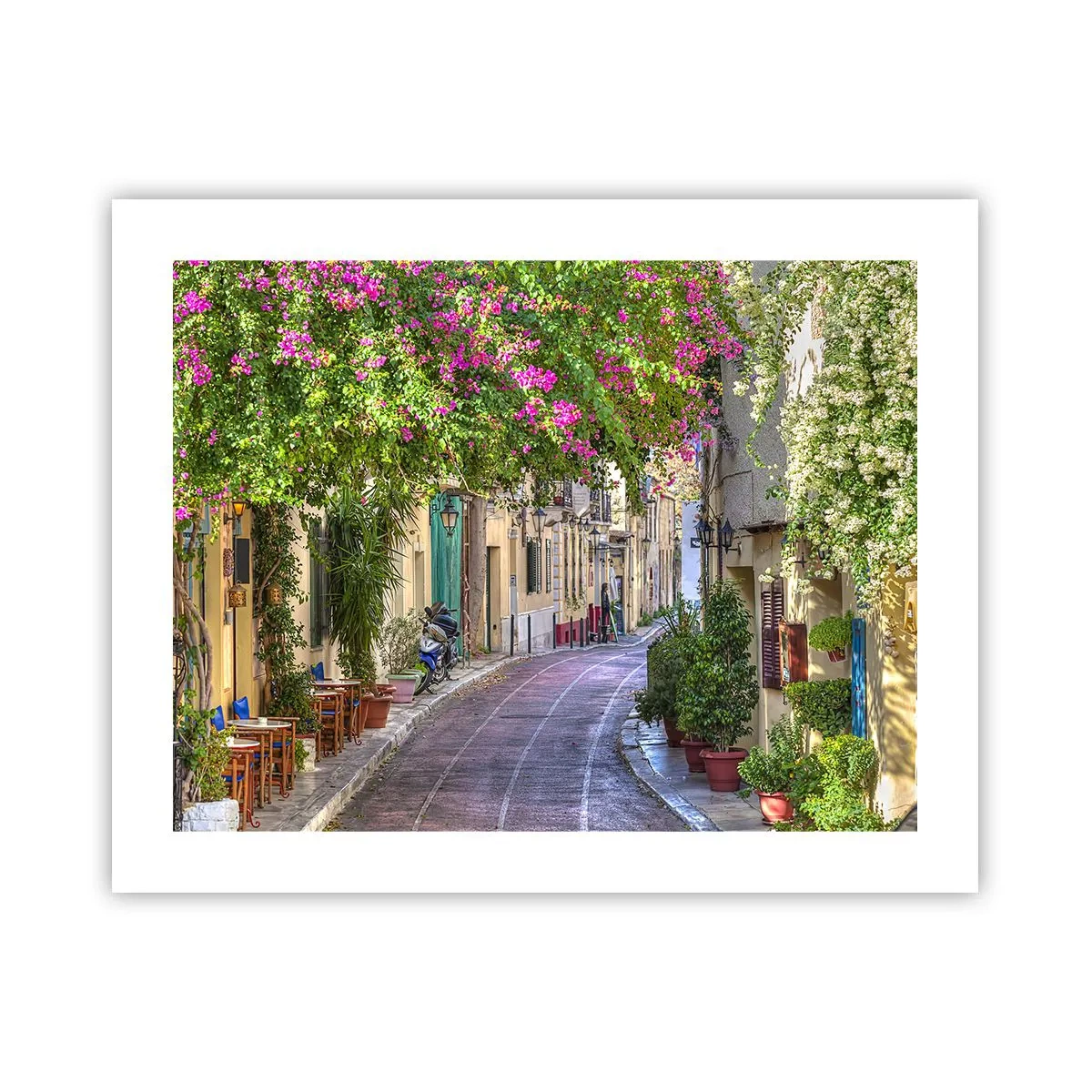 Póster - Un callejón floreciente - 50x40 cm